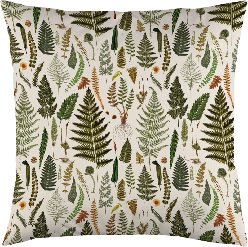 Tyynynpäällinen saniaiset