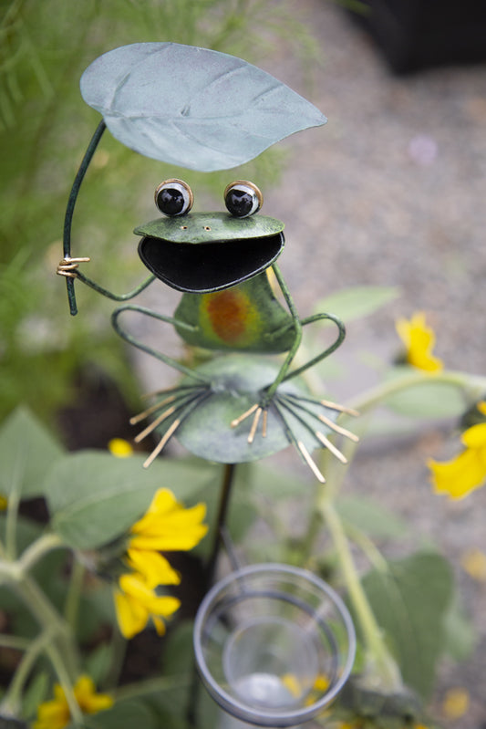 Sademittari sammakko