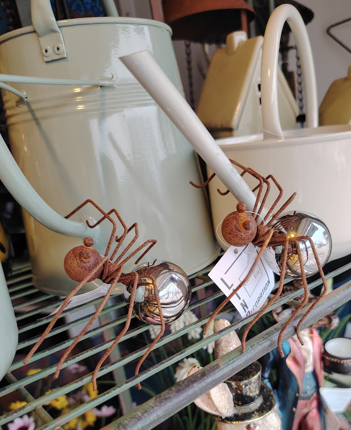 Puutarhakoriste hämähäkki