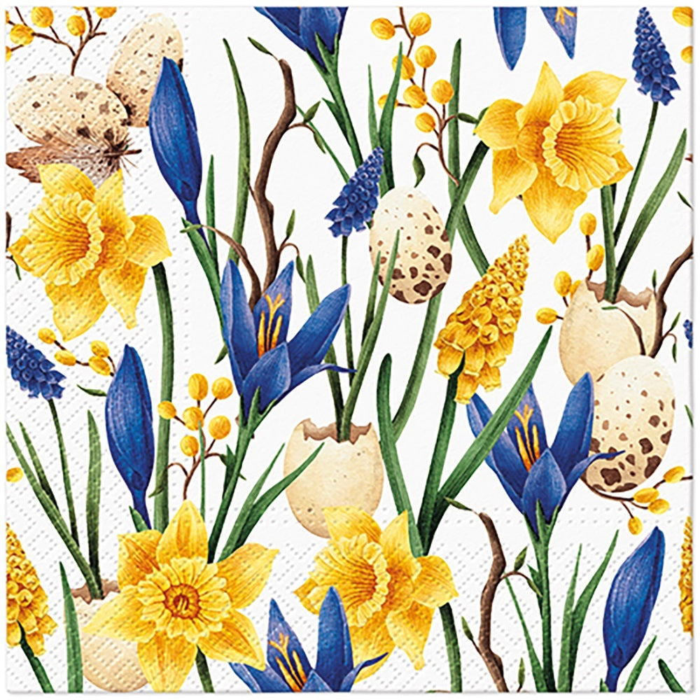Ruokalautasliinat Daffodils
