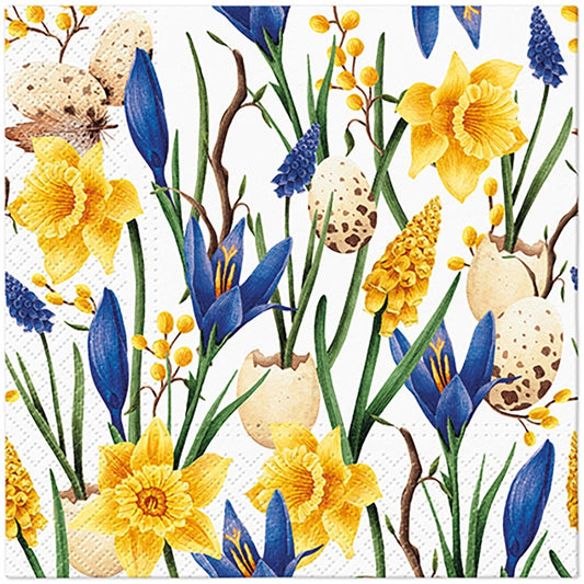 Ruokalautasliinat Daffodils