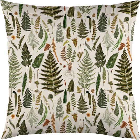 Tyynynpäällinen saniaiset