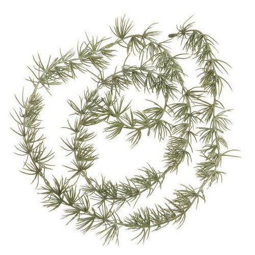 Vihreä köynnös