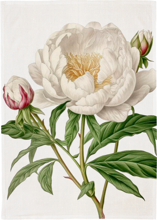 Keittiöpyyhe peony