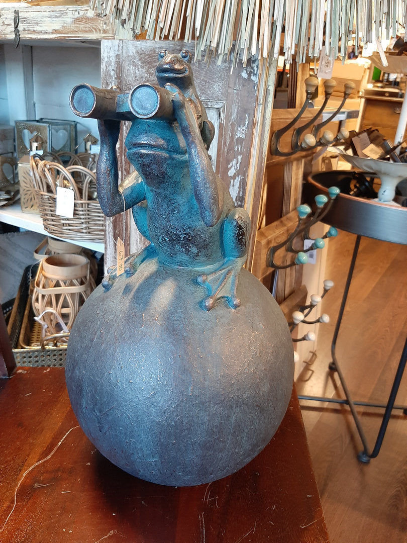 Koriste, sammakko kiikarilla