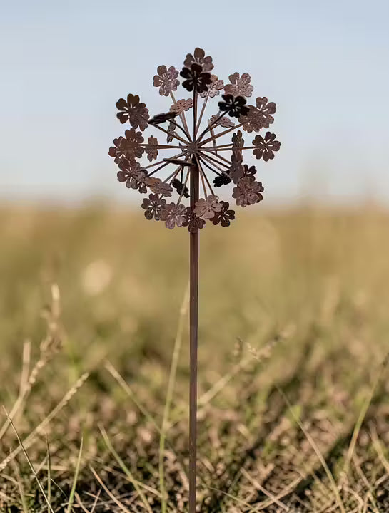 Puutarhakoriste, hortensia