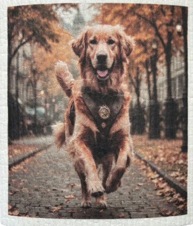 Tiskirätti Golden Retriver