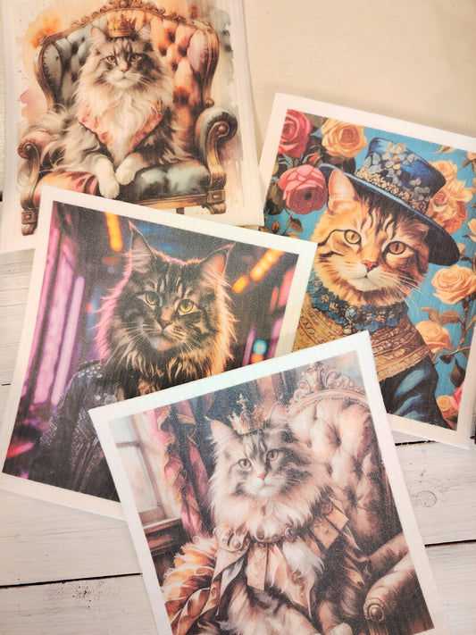 Tiskirätti Kizz