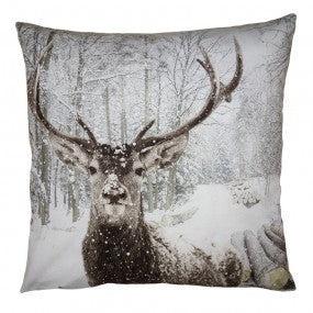 Tyynynpäällinen poro