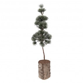 Koristepuu 45 cm